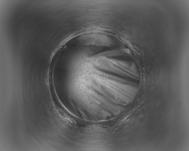 X0000076070244200610061609