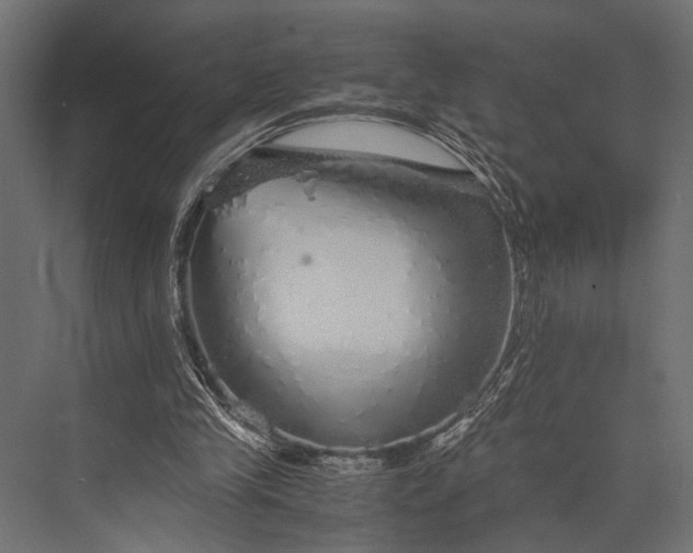 X0000076070245200610061609