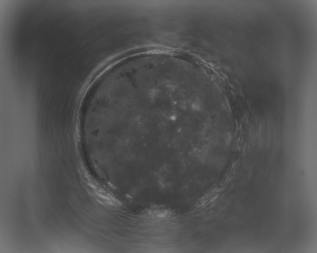 X0000076070247200610061609