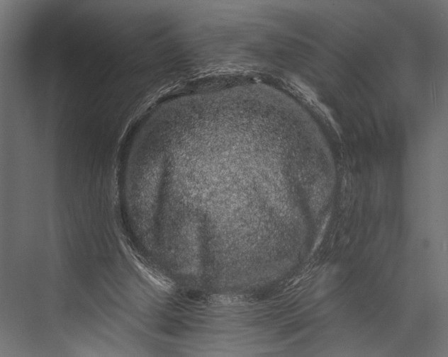 X0000076070250200610061609