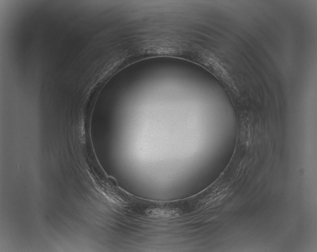 X0000076070251200610061609