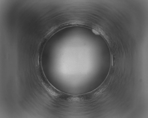 X0000076070253200610061609