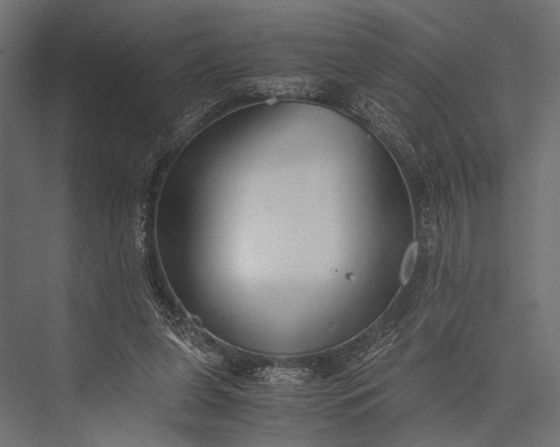 X0000076070255200610061609