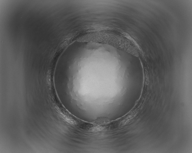 X0000076070257200610061609