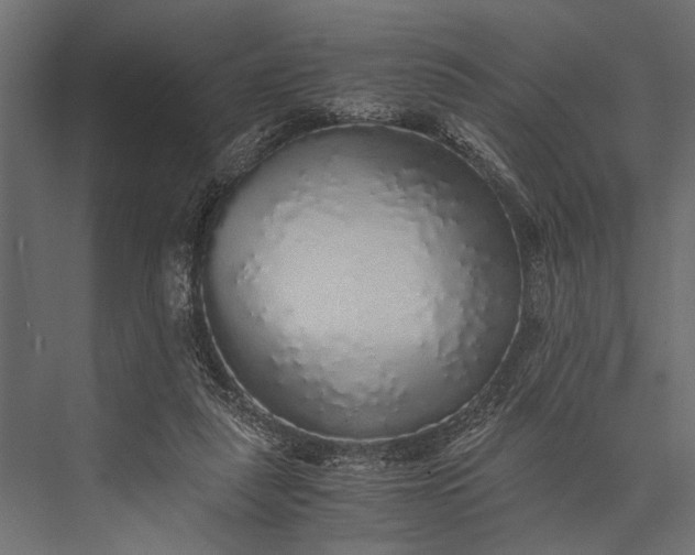 X0000076070259200610061610