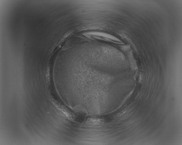 X0000076070260200610061610