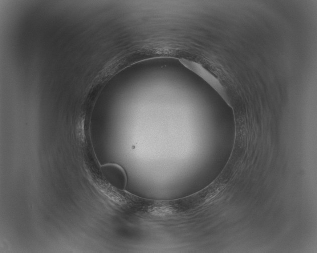 X0000076070262200610061610