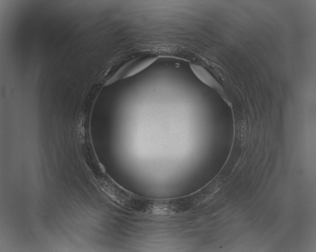 X0000076070264200610061610