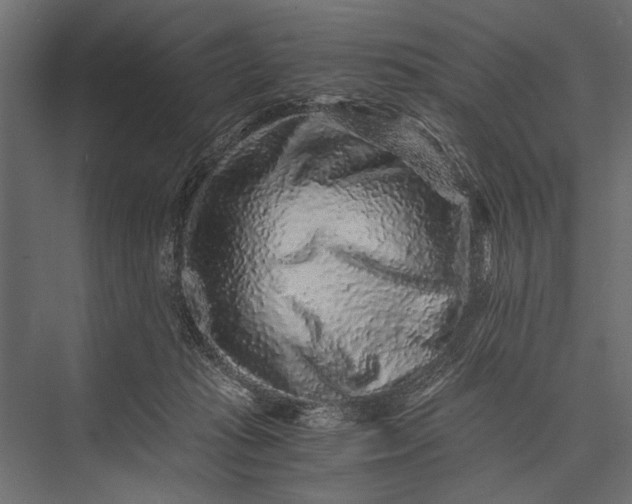 X0000076070269200610061610