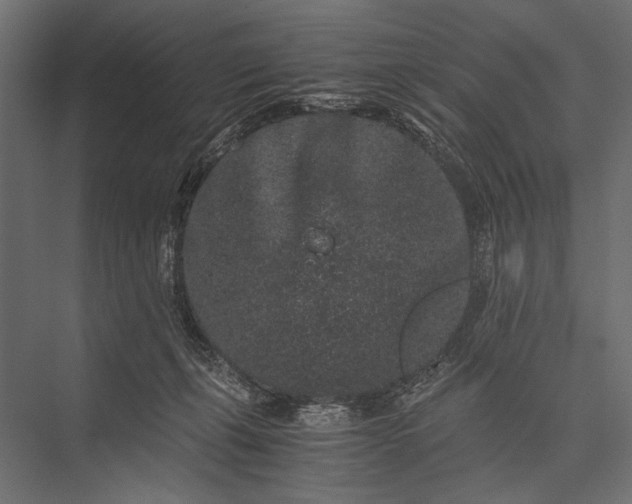 X0000076070271200610061610