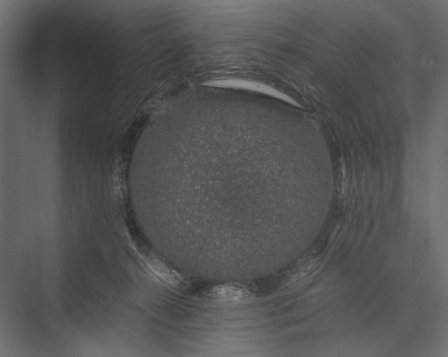 X0000076070272200610061610