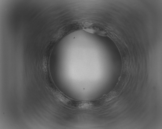 X0000076070274200610061610