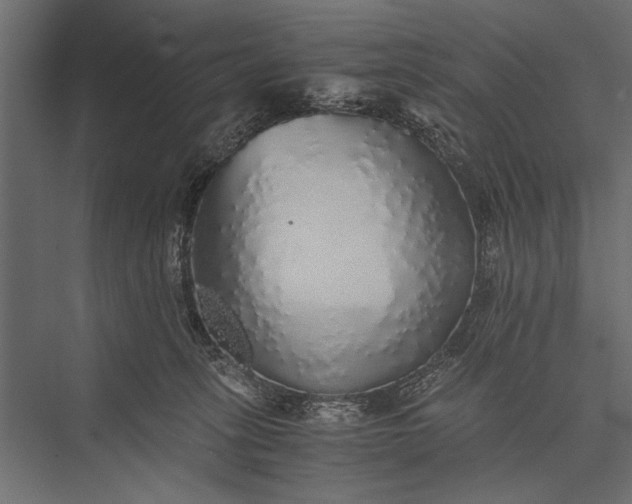 X0000076070275200610061610