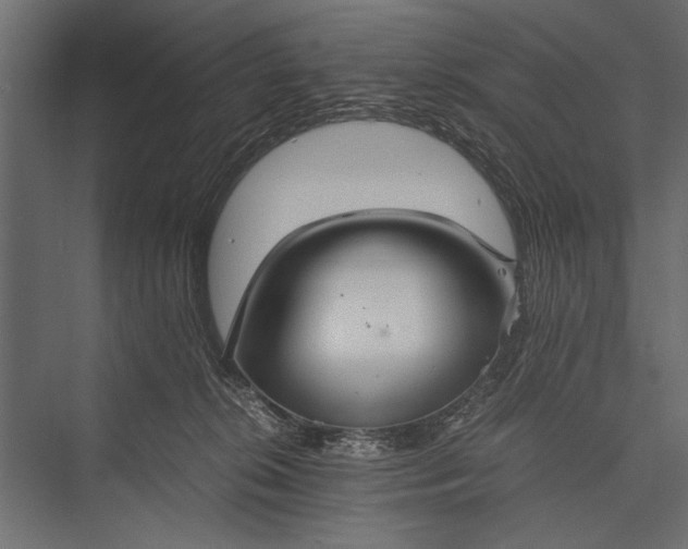 X0000076070276200610061610