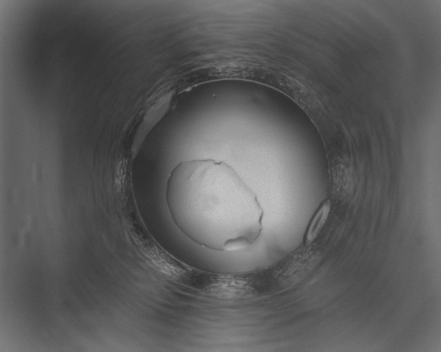 X0000076070278200610061610