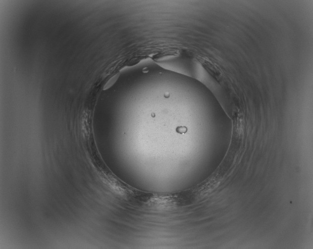 X0000076070280200610061610