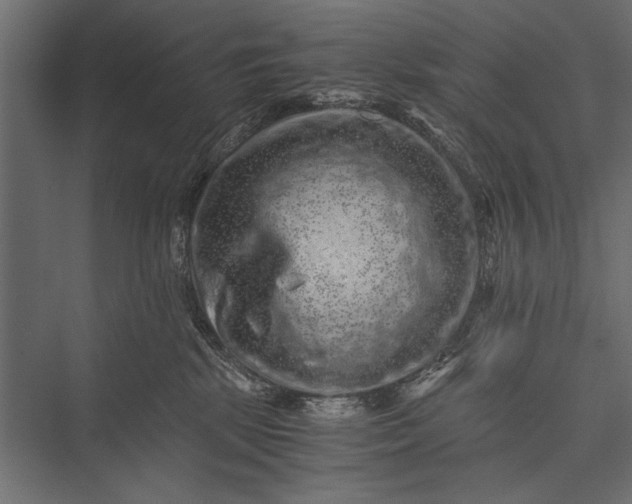 X0000076070281200610061610