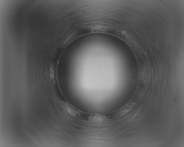 X0000076070282200610061610