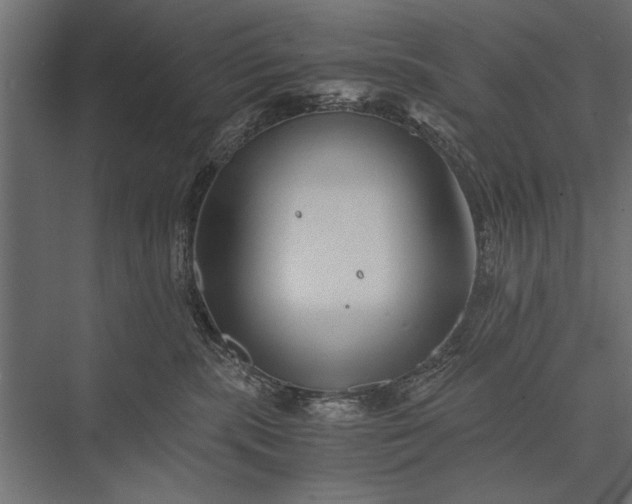 X0000076070283200610061610