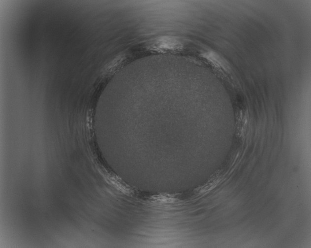 X0000076070284200610061610