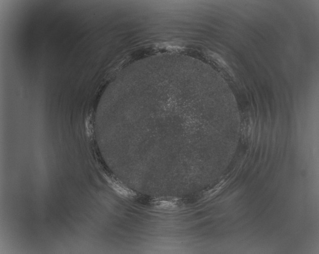 X0000076070285200610061610