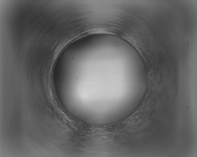 X0000076070289200610061609