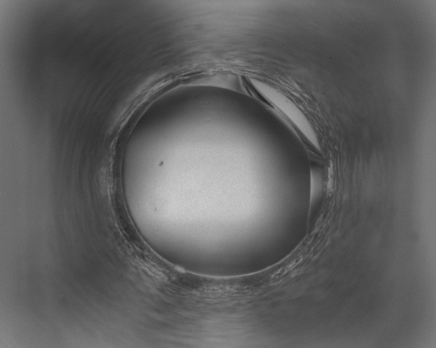 X0000076070291200610061609