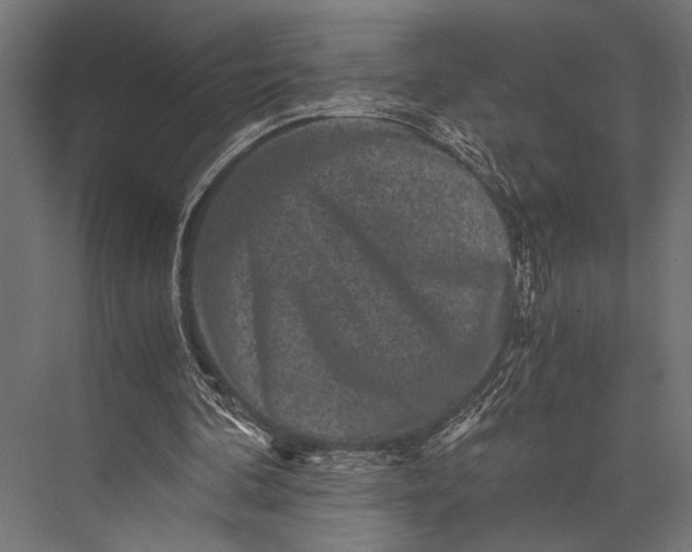 X0000076070292200610061609