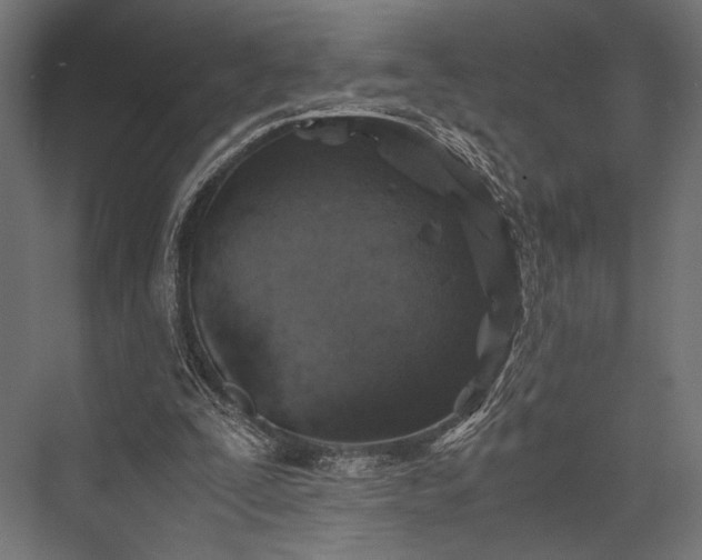 X0000076070295200610061609