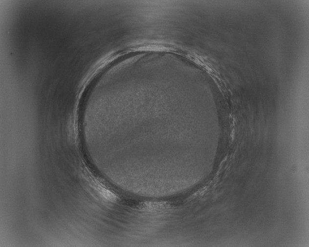 X0000076070296200610061609