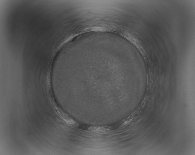 X0000076070297200610061609