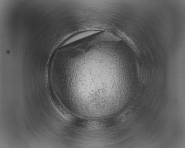 X0000076070298200610061609