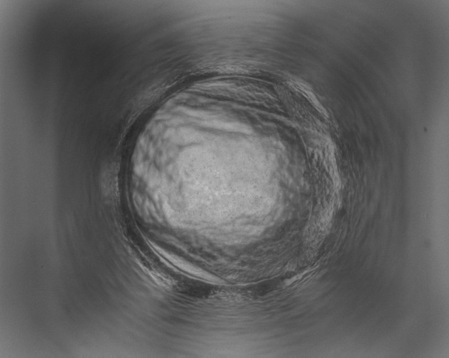 X0000076070299200610061609