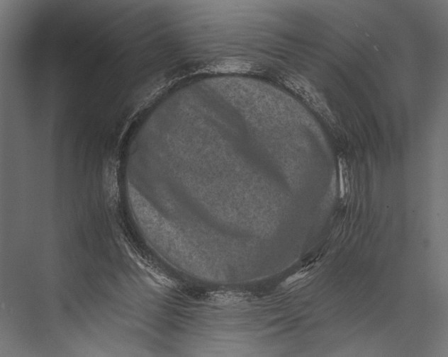 X0000076070300200610061609