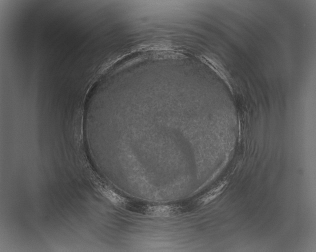 X0000076070301200610061609