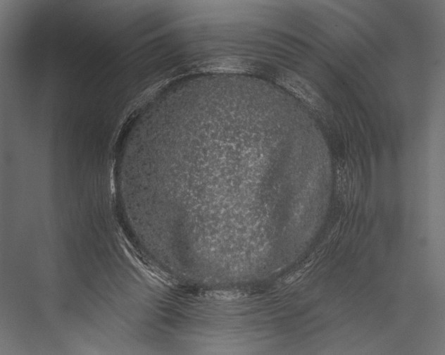 X0000076070302200610061609