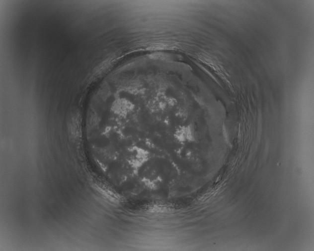 X0000076070303200610061609