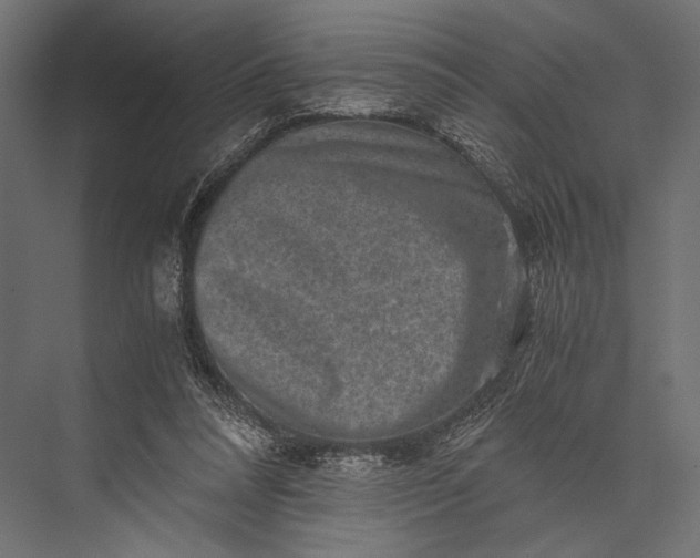 X0000076070304200610061609