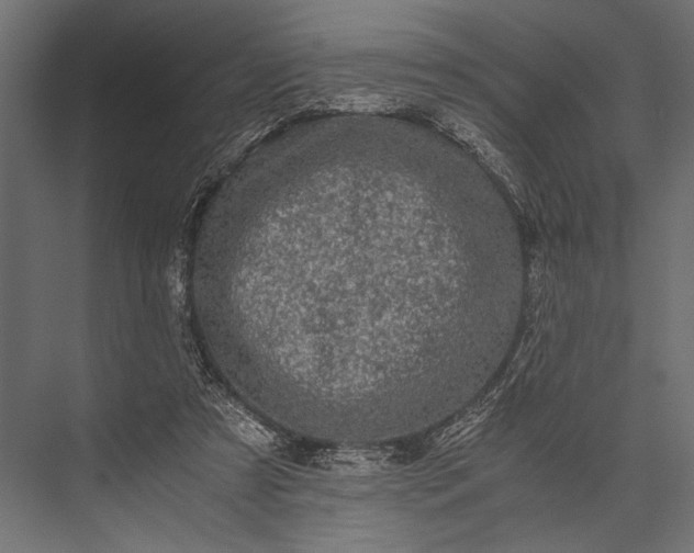 X0000076070305200610061609