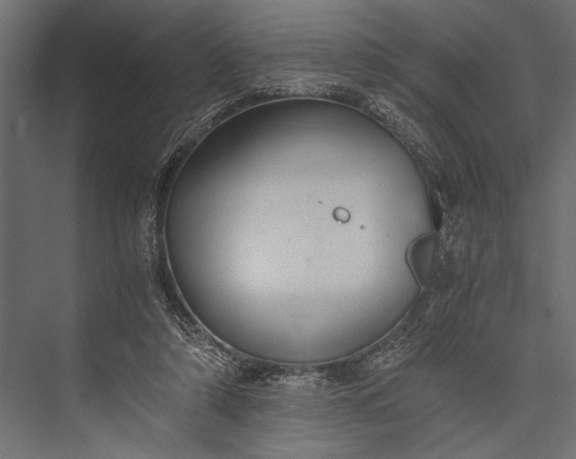 X0000076070306200610061609