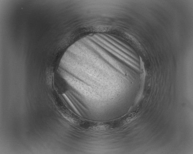 X0000076070307200610061609