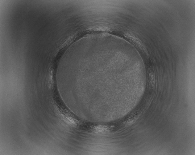 X0000076070308200610061609