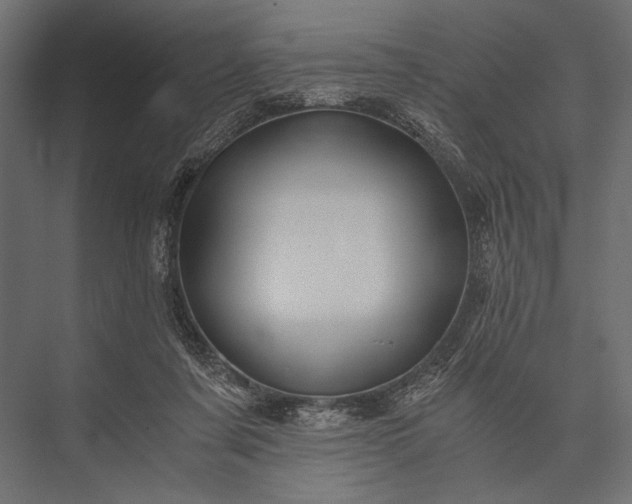 X0000076070311200610061609