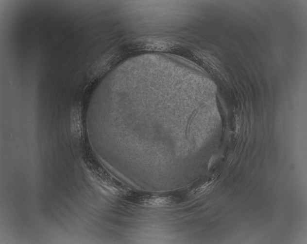 X0000076070312200610061609