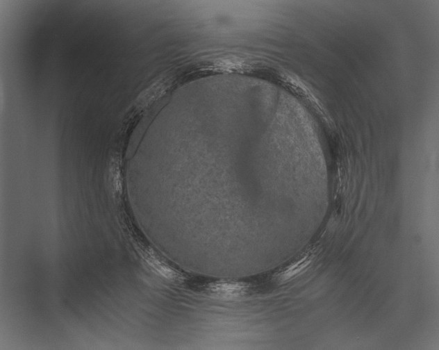 X0000076070313200610061609