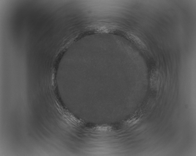 X0000076070314200610061609