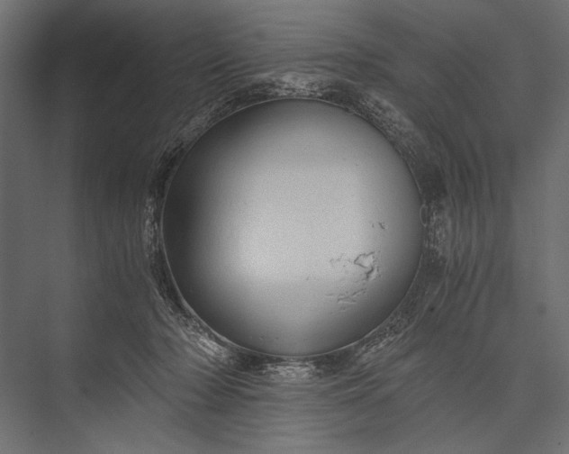 X0000076070318200610061609