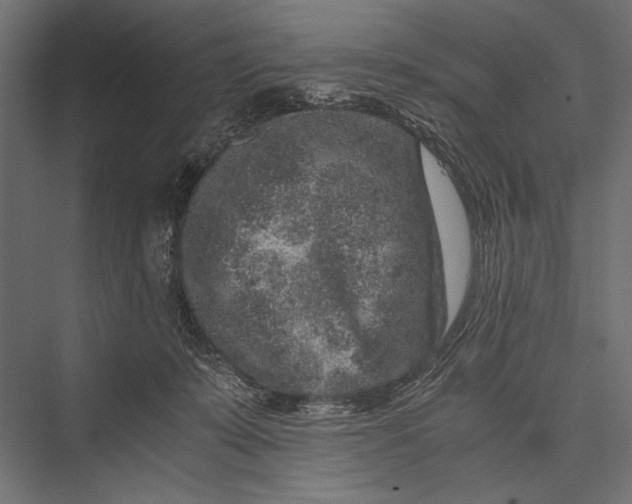 X0000076070319200610061609