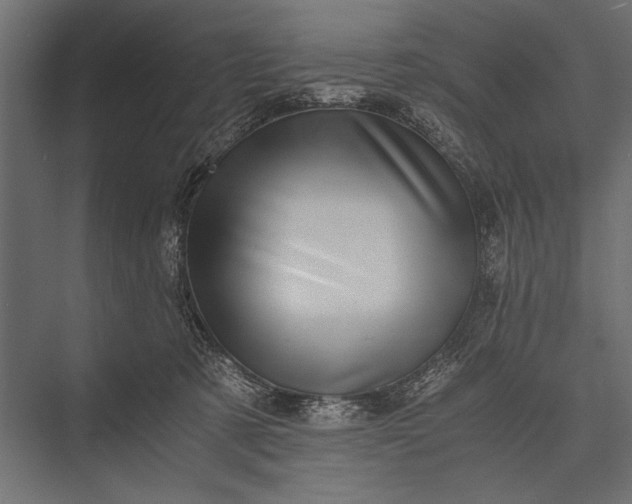 X0000076070321200610061609