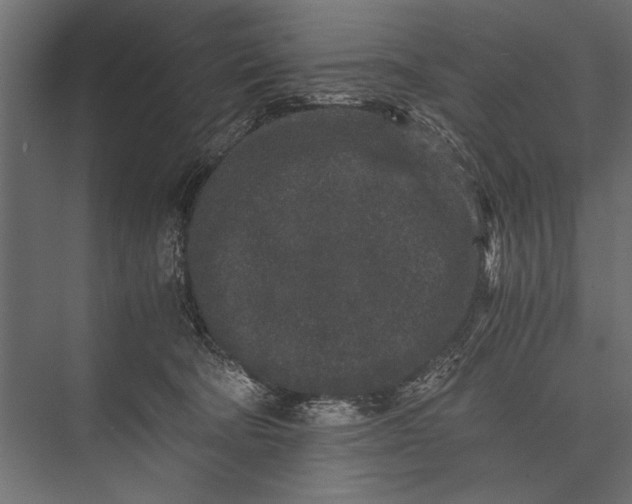 X0000076070322200610061609